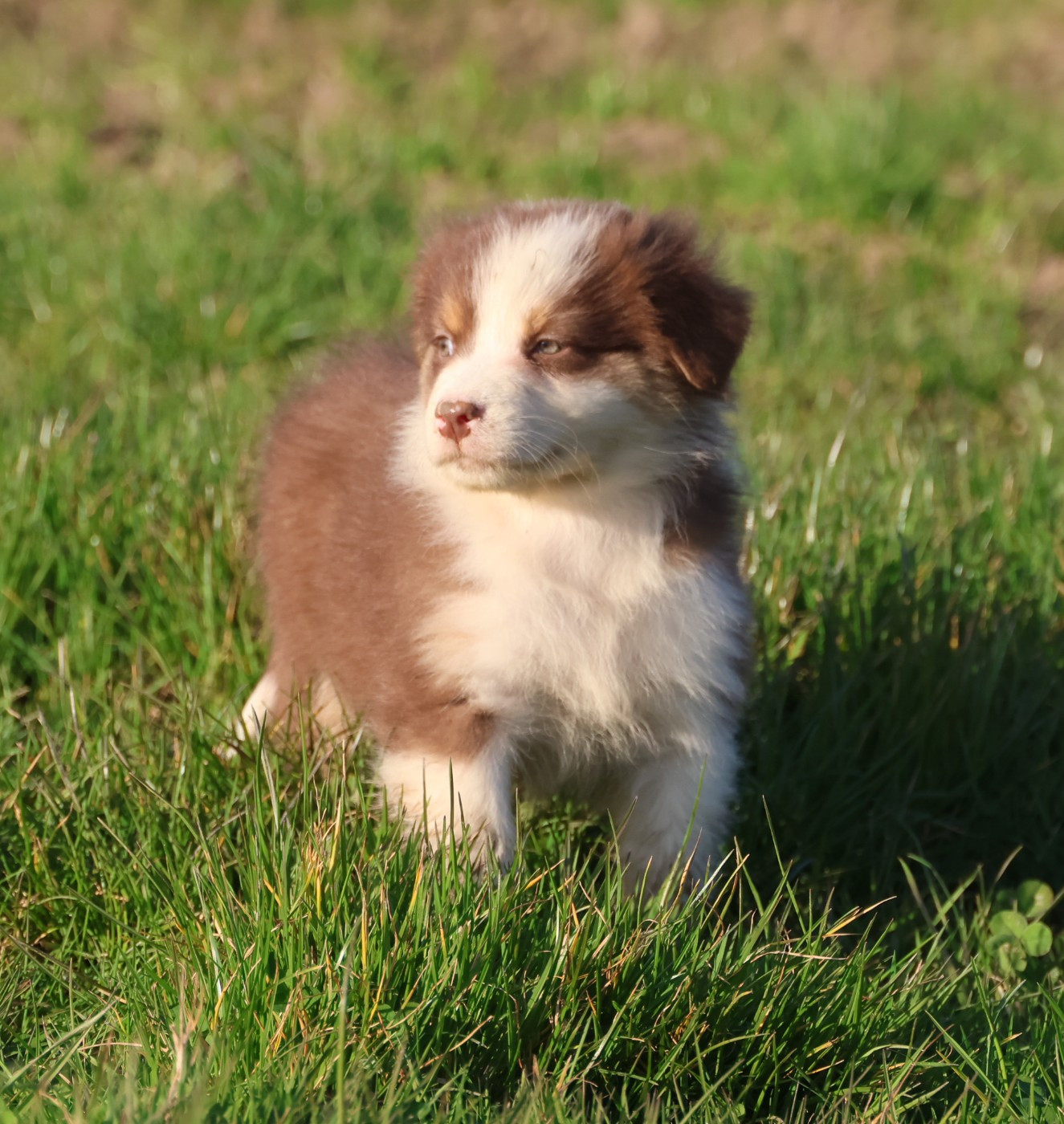 Best new years day dances
