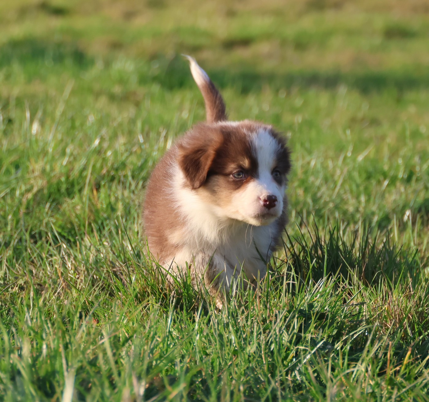 Best new years day dances