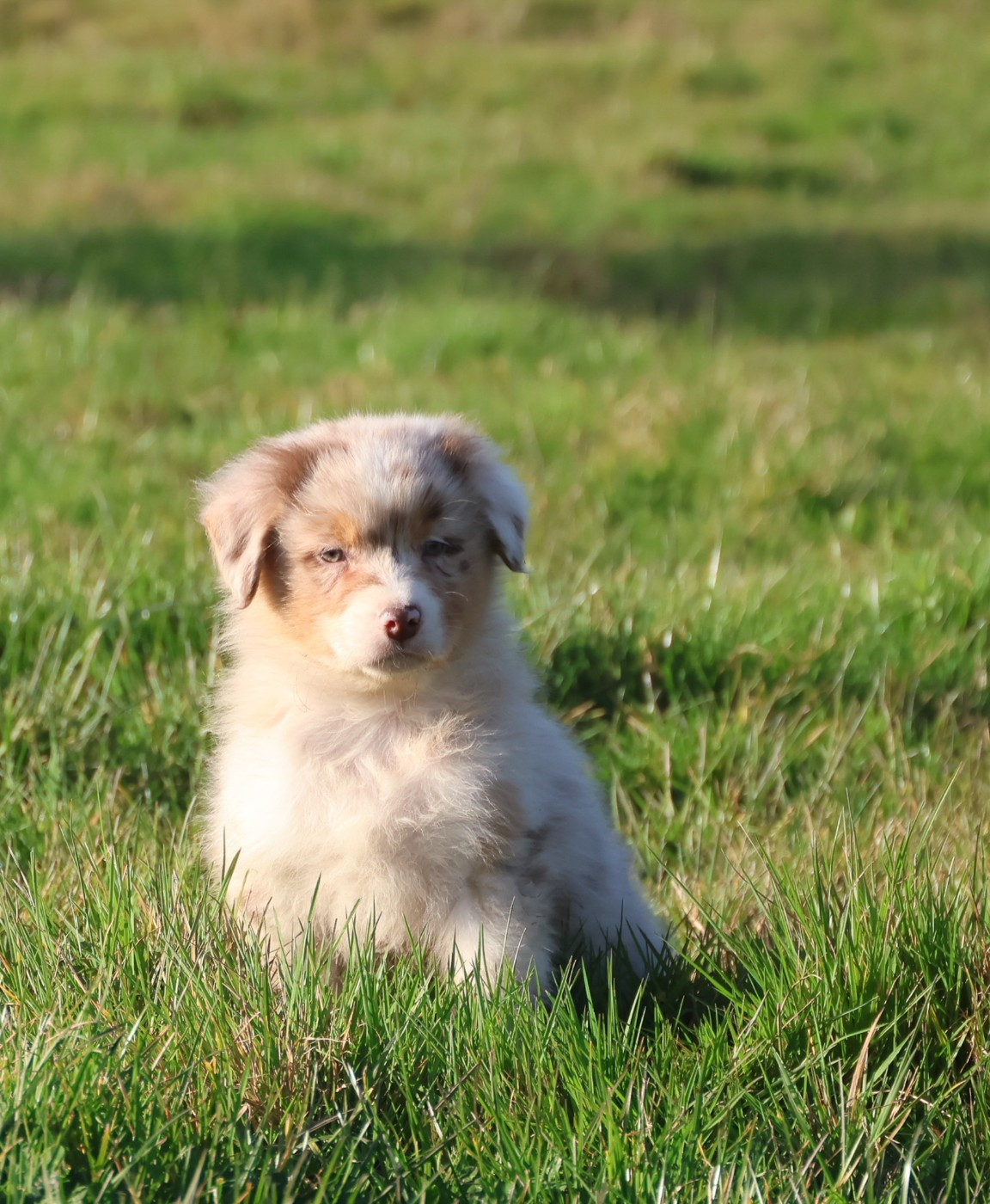 Best new years day music