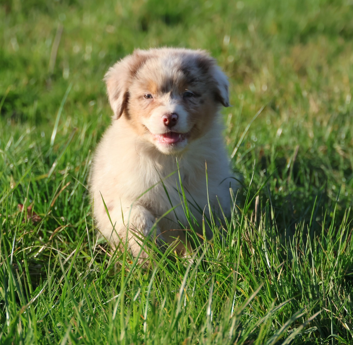 Best new years day music