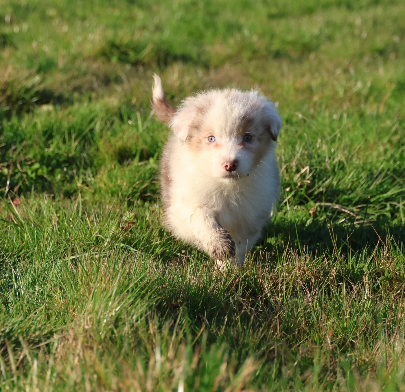 Best new years day meals