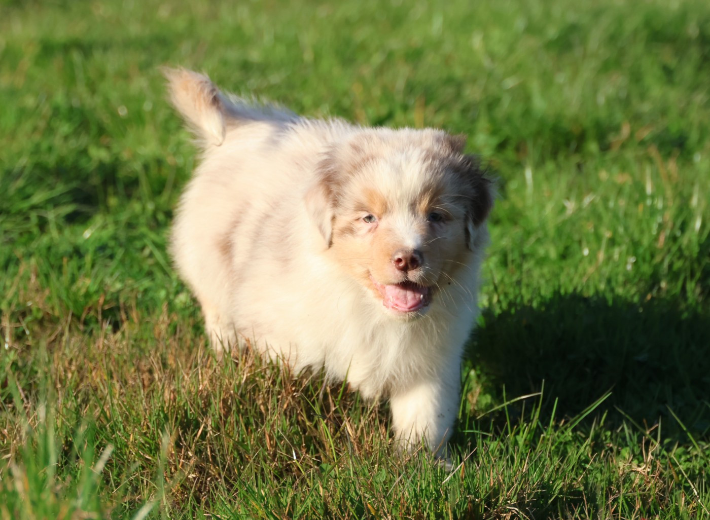 Best new years day conffeti