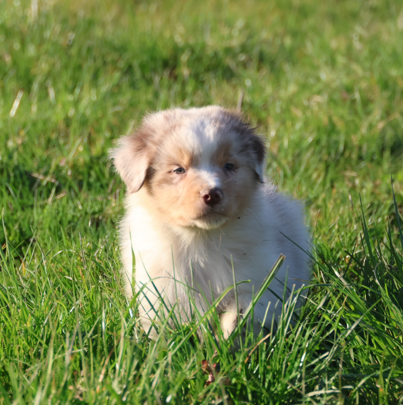 Best new years day conffeti