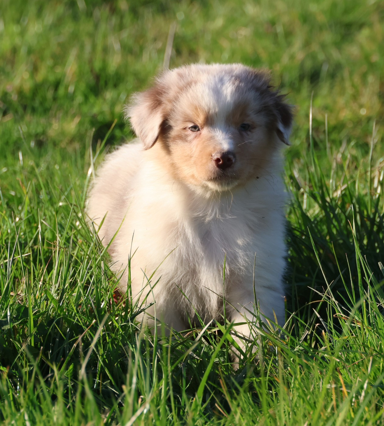 Best new years day conffeti