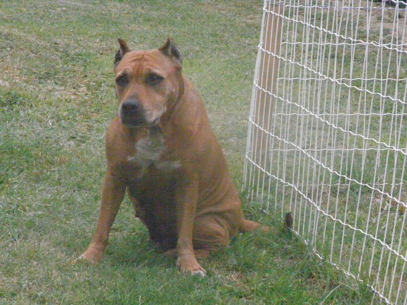 Sephora de la terre des anges