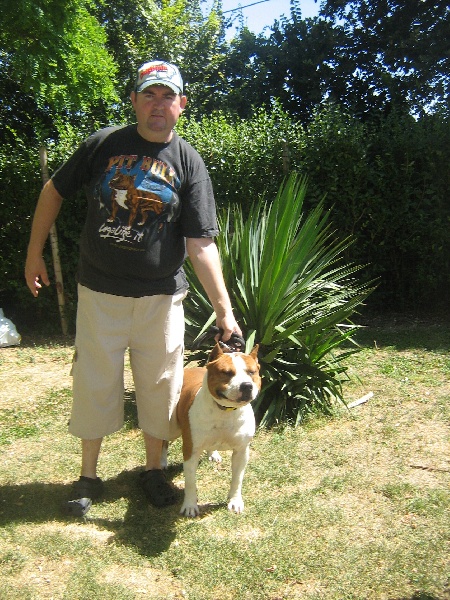 Magic-ster des Guerriers Occitans