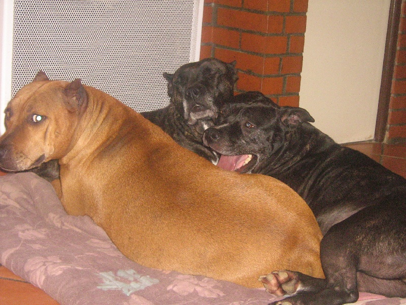 Sephora de la terre des anges