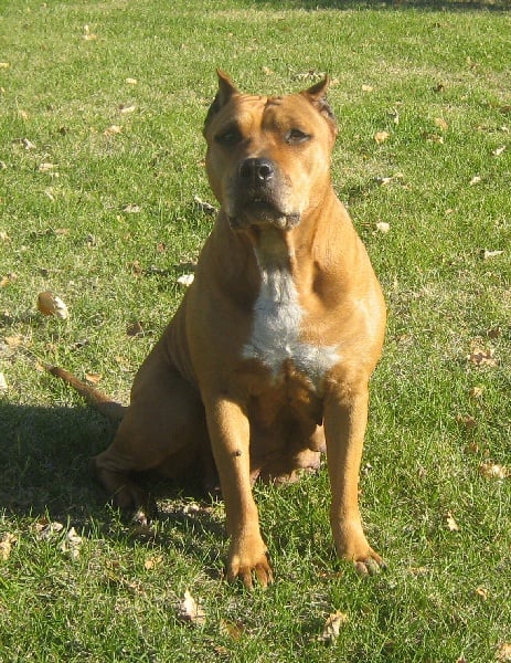 Sephora de la terre des anges