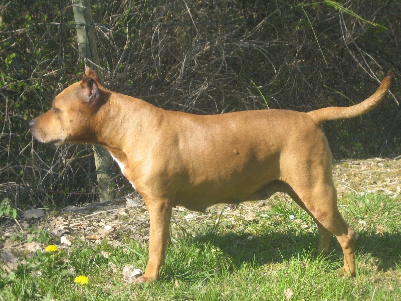 Sephora de la terre des anges