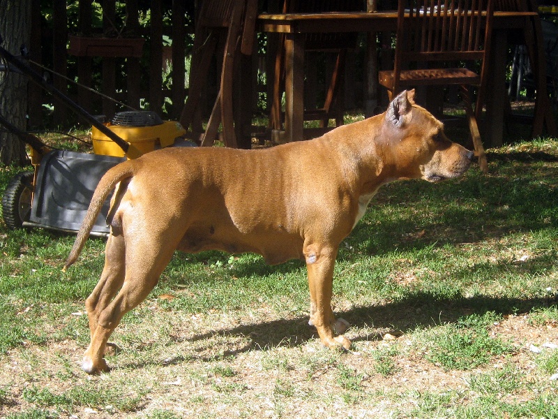 Sephora de la terre des anges