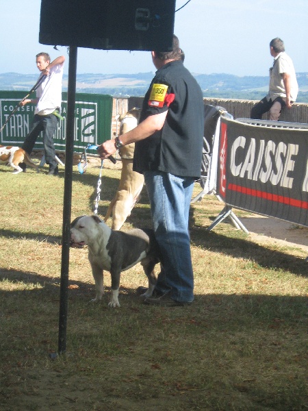 Cerdan ' alias ceusteur ' des Guerriers Occitans