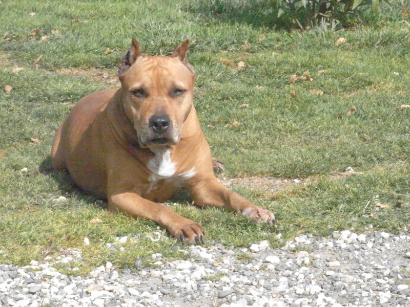 Sephora de la terre des anges