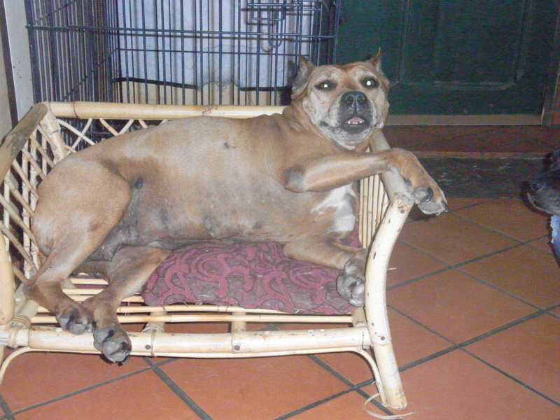 Sephora de la terre des anges