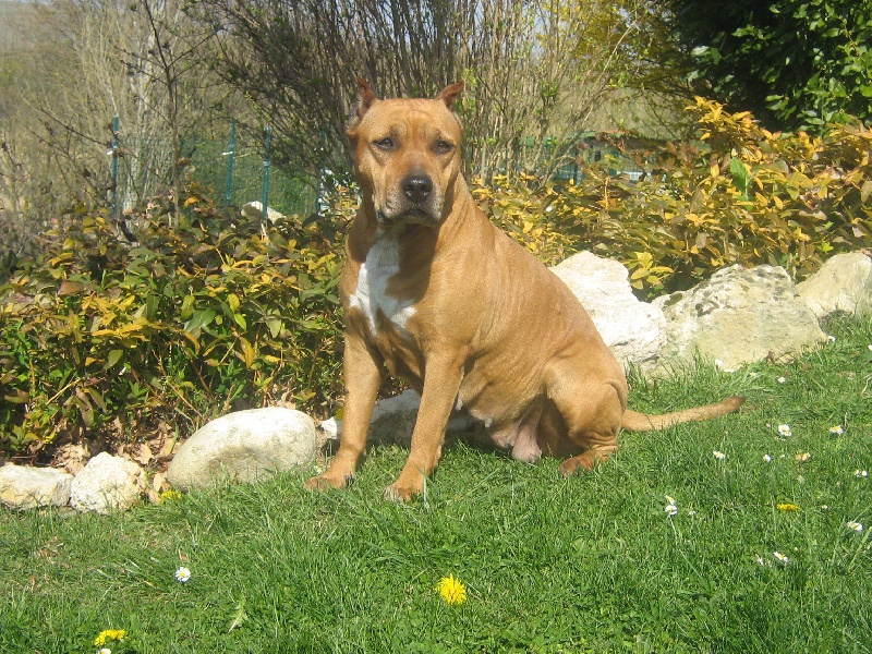 Sephora de la terre des anges