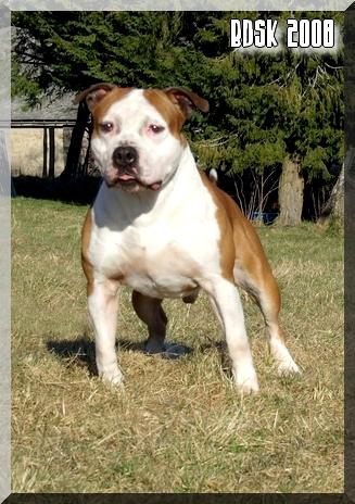 Publication : By familystaff