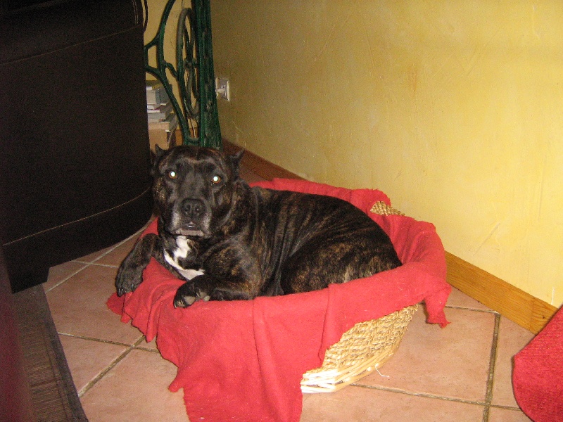 Unaya des Guerriers Occitans