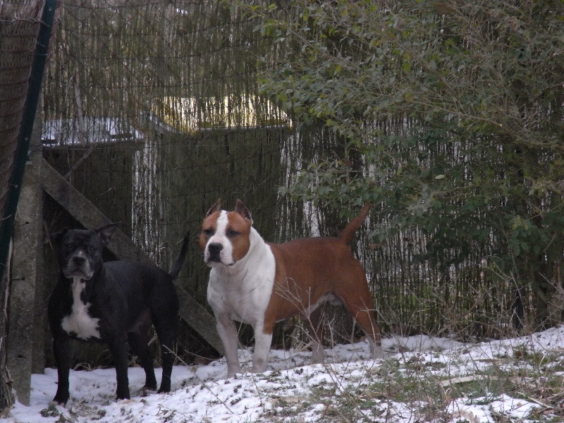 Arena black-night des Guerriers Occitans