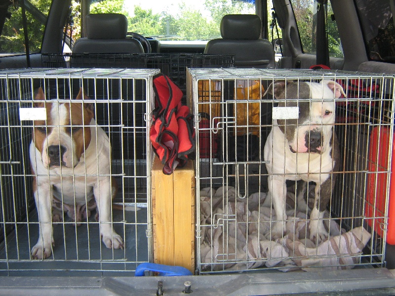 Cerdan ' alias ceusteur ' des Guerriers Occitans