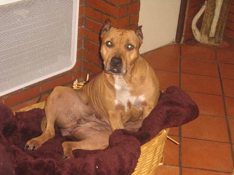 Sephora de la terre des anges