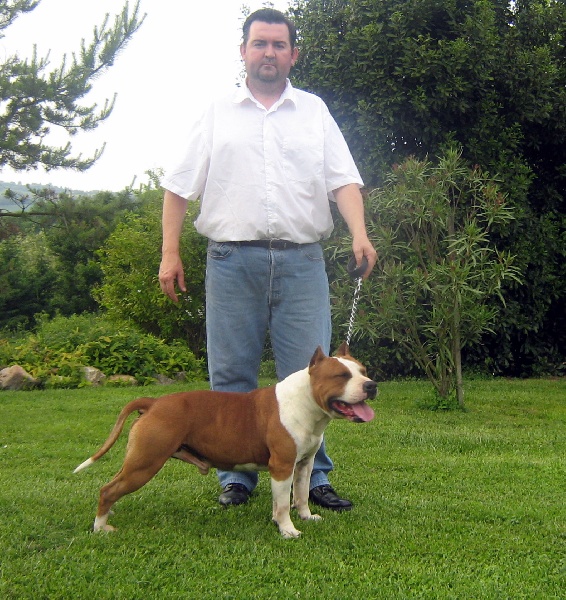 Magic-ster des Guerriers Occitans