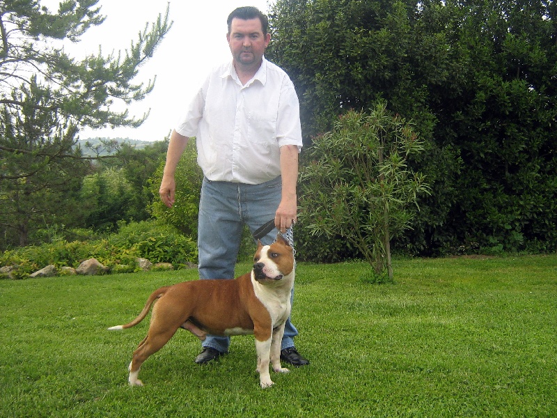 Magic-ster des Guerriers Occitans