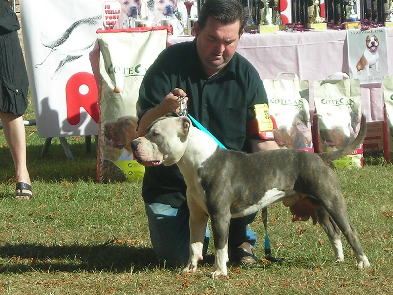 Cerdan ' alias ceusteur ' des Guerriers Occitans