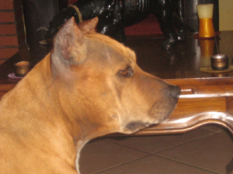 Sephora de la terre des anges