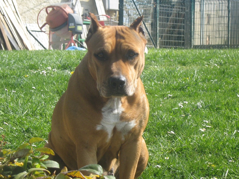 Sephora de la terre des anges