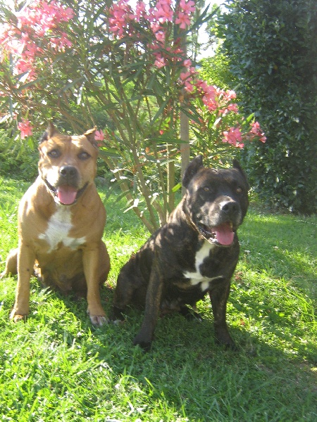 Sephora de la terre des anges