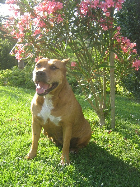 Sephora de la terre des anges