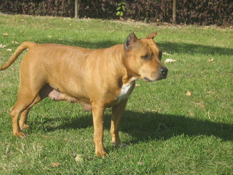 Sephora de la terre des anges