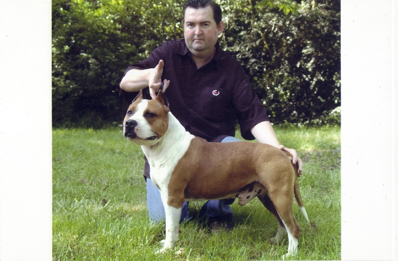 Magic-ster des Guerriers Occitans