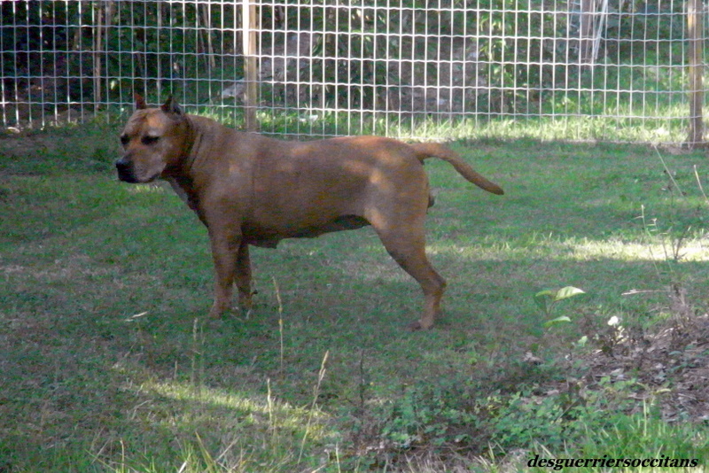 Sephora de la terre des anges