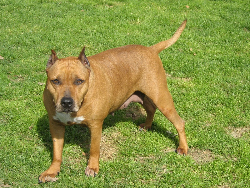 Sephora de la terre des anges