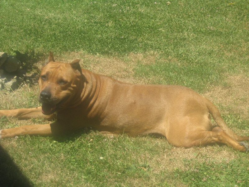 Sephora de la terre des anges