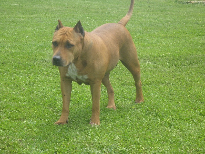 Sephora de la terre des anges