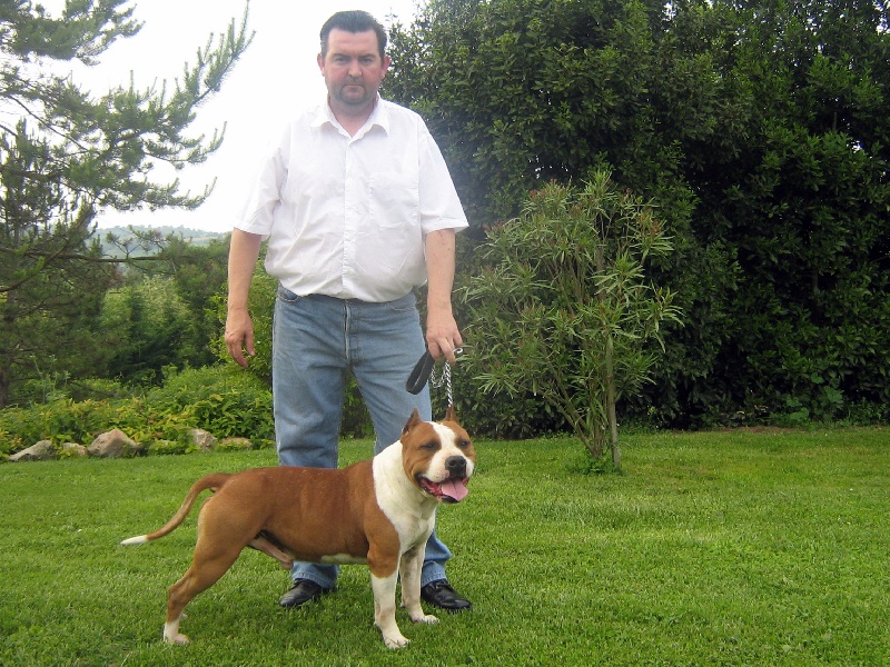 Magic-ster des Guerriers Occitans