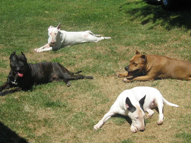 Sephora de la terre des anges