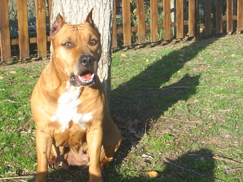 Sephora de la terre des anges