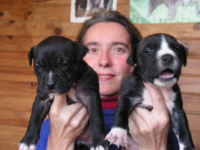 Arena black-night des Guerriers Occitans