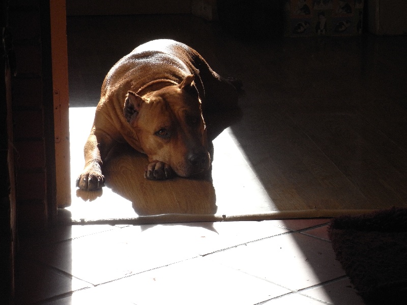 Sephora de la terre des anges