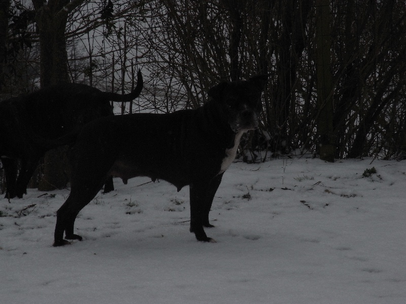 Arena black-night des Guerriers Occitans