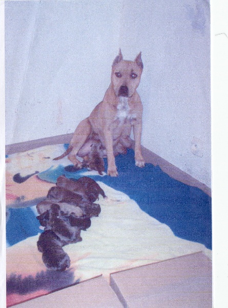 Sephora de la terre des anges