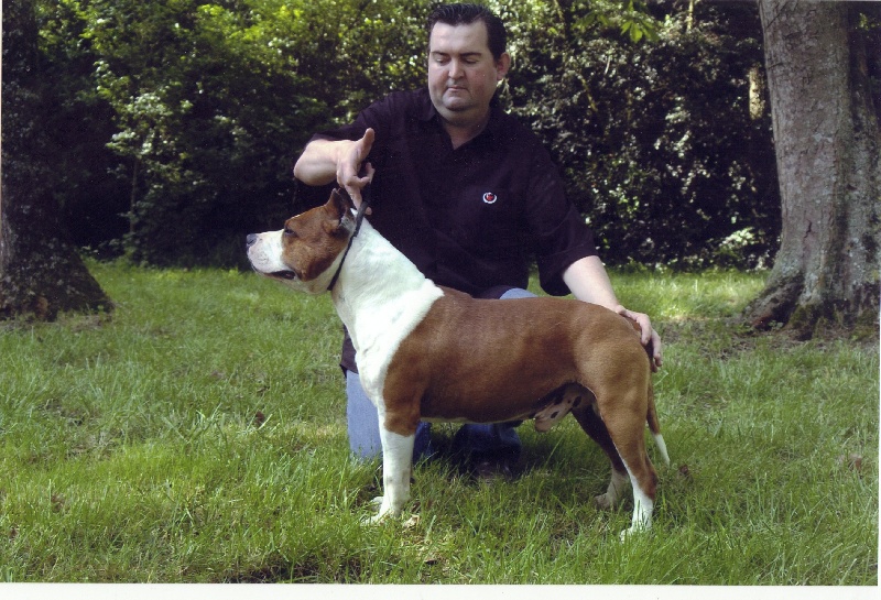 Magic-ster des Guerriers Occitans