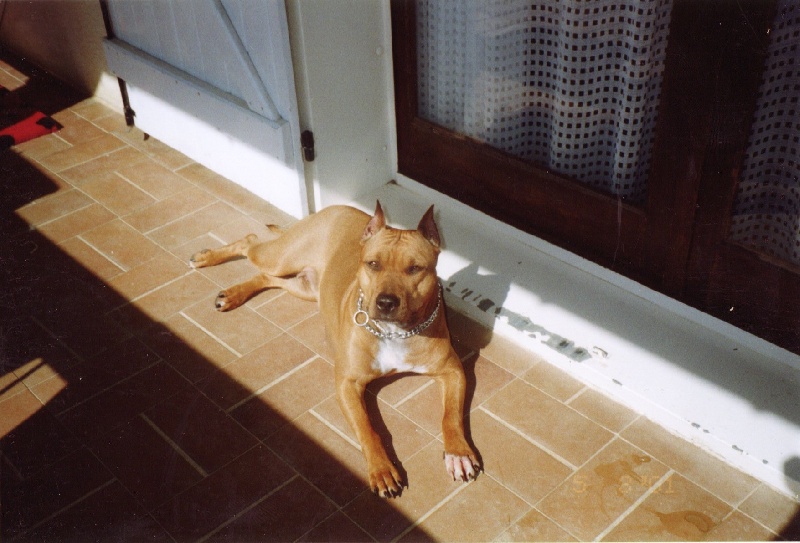 Sephora de la terre des anges