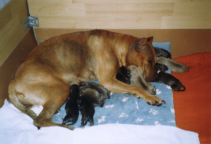 Sephora de la terre des anges