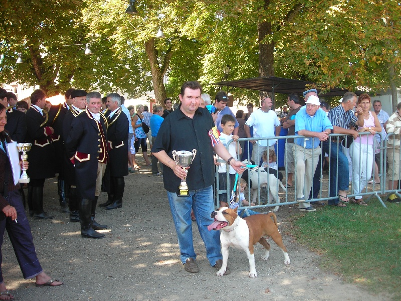 Magic-ster des Guerriers Occitans