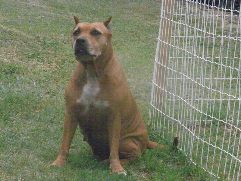 Sephora de la terre des anges