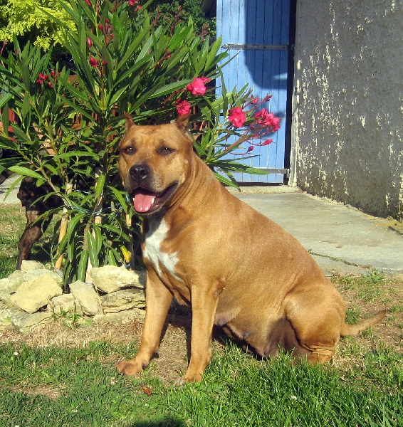 Sephora de la terre des anges