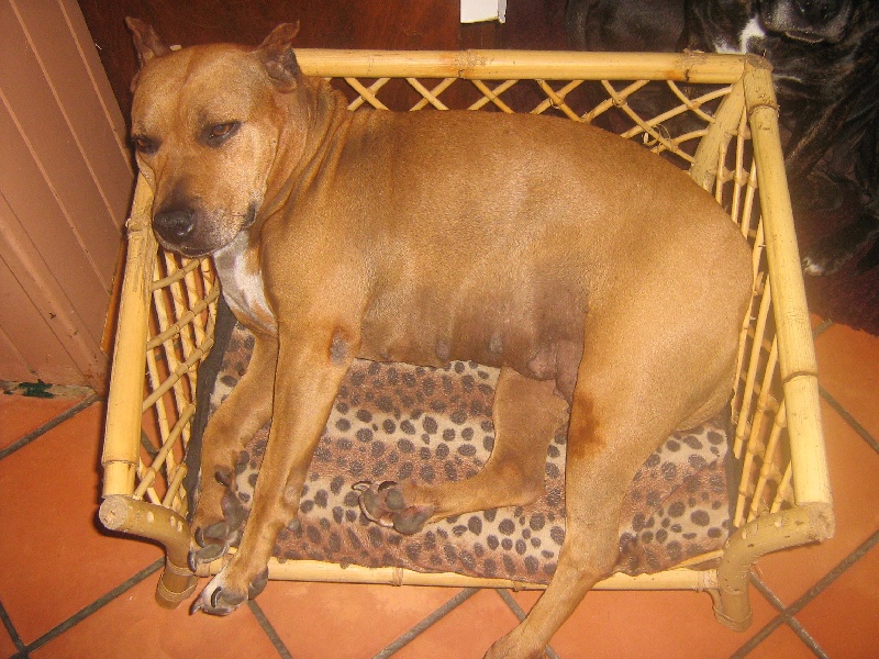 Sephora de la terre des anges